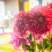 ヒメ日記 2025/09/01 20:11 投稿 ふうか 熟女の風俗最終章 宇都宮店