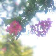 ヒメ日記 2025/09/04 23:51 投稿 ふうか 熟女の風俗最終章 宇都宮店