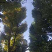 ヒメ日記 2025/10/31 17:41 投稿 ふうか 熟女の風俗最終章 宇都宮店