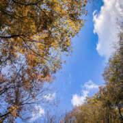 ヒメ日記 2025/11/07 17:21 投稿 ふうか 熟女の風俗最終章 宇都宮店