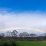 ヒメ日記 2025/11/10 12:21 投稿 ふうか 熟女の風俗最終章 宇都宮店