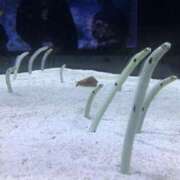 ヒメ日記 2025/11/13 12:52 投稿 ふうか 熟女の風俗最終章 宇都宮店