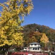 ふうか 紅葉🍁が綺麗な時季ですね💕 熟女の風俗最終章 宇都宮店