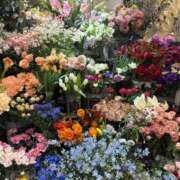 ヒメ日記 2026/01/23 11:23 投稿 ふうか 熟女の風俗最終章 宇都宮店