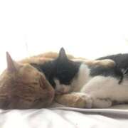 ヒメ日記 2026/02/23 08:01 投稿 ふうか 熟女の風俗最終章 宇都宮店