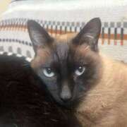 ヒメ日記 2026/03/14 14:10 投稿 ふうか 熟女の風俗最終章 宇都宮店