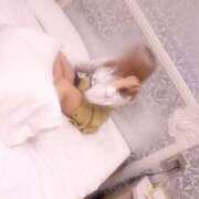 ヒメ日記 2025/05/02 23:50 投稿 のあ スピードエコ日本橋店