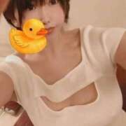 ヒメ日記 2025/08/28 12:43 投稿 つばさ 那珂川角海老