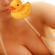 ヒメ日記 2025/10/19 07:53 投稿 つばさ 那珂川角海老