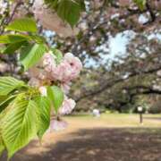 ヒメ日記 2025/04/19 13:34 投稿 こころ 吉祥寺大人めシンデレラ（シンデレラグループ）