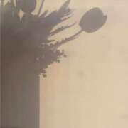 ヒメ日記 2025/04/19 20:38 投稿 こころ 吉祥寺大人めシンデレラ（シンデレラグループ）