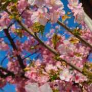 ヒメ日記 2025/03/17 13:30 投稿 のあ 熟女の風俗最終章 所沢店