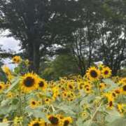 ヒメ日記 2025/07/27 19:51 投稿 えりか☆現役学生㊙アルバイト♪ 妹系イメージSOAP萌えフードル学園 大宮本校