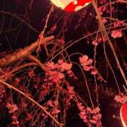 ヒメ日記 2025/04/06 17:11 投稿 三宅　めぐ プルプル京都性感エステ　はんなり