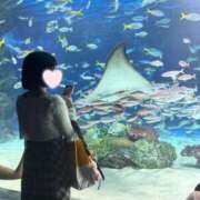 ヒメ日記 2025/10/09 13:55 投稿 三宅　めぐ プルプル京都性感エステ　はんなり