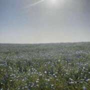 ヒメ日記 2025/11/14 21:04 投稿 三宅　めぐ プルプル京都性感エステ　はんなり