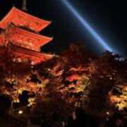 ヒメ日記 2025/11/18 18:43 投稿 三宅　めぐ プルプル京都性感エステ　はんなり