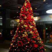 ヒメ日記 2025/12/13 14:13 投稿 三宅　めぐ プルプル京都性感エステ　はんなり