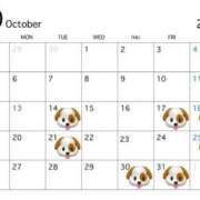 ヒメ日記 2025/10/13 17:41 投稿 みさと 秘書室(吉原)