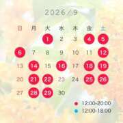 ヒメ日記 2026/09/01 10:51 投稿 りな 秘書室(吉原)