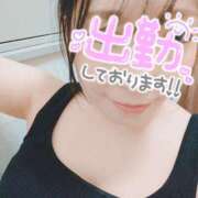 ヒメ日記 2025/09/06 10:45 投稿 そよかぜ 丸妻 新横浜店