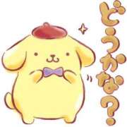 ヒメ日記 2026/03/23 14:41 投稿 そよかぜ 丸妻 新横浜店