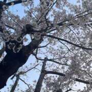 志乃(しの) 志乃 チューリップ宇都宮店