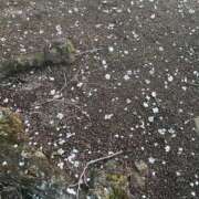 志乃(しの) 志乃 チューリップ宇都宮店