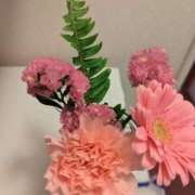 ヒメ日記 2025/02/18 15:22 投稿 ゆの 人妻小旅行