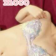 ヒメ日記 2025/04/16 15:33 投稿 もこ エピセレクション