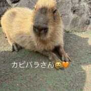 ヒメ日記 2025/05/14 18:40 投稿 上野 BBW横浜店