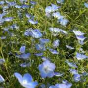 ヒメ日記 2025/05/20 11:37 投稿 上野 BBW横浜店