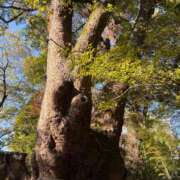 ヒメ日記 2025/12/09 19:14 投稿 上野 BBW横浜店