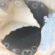 ヒメ日記 2025/04/14 16:07 投稿 ともか Respect