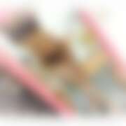 ヒメ日記 2026/02/27 18:00 投稿 ともか Respect