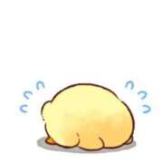 ヒメ日記 2025/06/21 09:08 投稿 恋川ねる 神戸ホットポイント