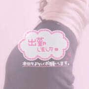 ヒメ日記 2025/03/29 11:47 投稿 なお ぽちゃカワ女子専門店宇都宮店