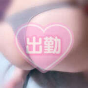 ヒメ日記 2025/05/08 11:50 投稿 なお ぽちゃカワ女子専門店宇都宮店