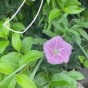 ヒメ日記 2025/07/07 08:40 投稿 なお ぽちゃカワ女子専門店宇都宮店