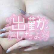 ヒメ日記 2025/07/20 10:54 投稿 なお ぽちゃカワ女子専門店宇都宮店