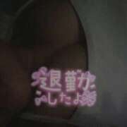 ヒメ日記 2025/08/17 04:06 投稿 なお ぽちゃカワ女子専門店宇都宮店