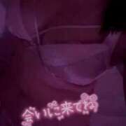 ヒメ日記 2025/10/30 21:32 投稿 なお ぽちゃカワ女子専門店宇都宮店