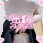 ヒメ日記 2025/11/03 11:20 投稿 なお ぽちゃカワ女子専門店宇都宮店