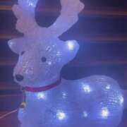 ヒメ日記 2025/11/26 00:04 投稿 なお ぽちゃカワ女子専門店宇都宮店