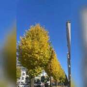 ヒメ日記 2025/11/26 12:13 投稿 なお ぽちゃカワ女子専門店宇都宮店