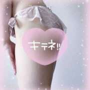 ヒメ日記 2026/03/12 12:49 投稿 なお ぽちゃカワ女子専門店宇都宮店