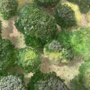 ヒメ日記 2026/03/14 01:31 投稿 なお ぽちゃカワ女子専門店宇都宮店