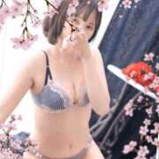 ヒメ日記 2025/03/27 12:34 投稿 ちよ 渋谷 風俗 奥様発情の会