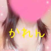 ヒメ日記 2025/04/02 08:33 投稿 かれん セクシーキャット 小田原店