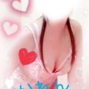 ヒメ日記 2025/06/28 13:10 投稿 かれん セクシーキャット 小田原店